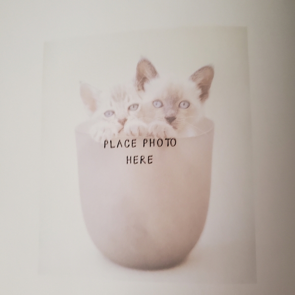 NWOTs ~ My Cat Record Book ~ - Picture 7 of 14